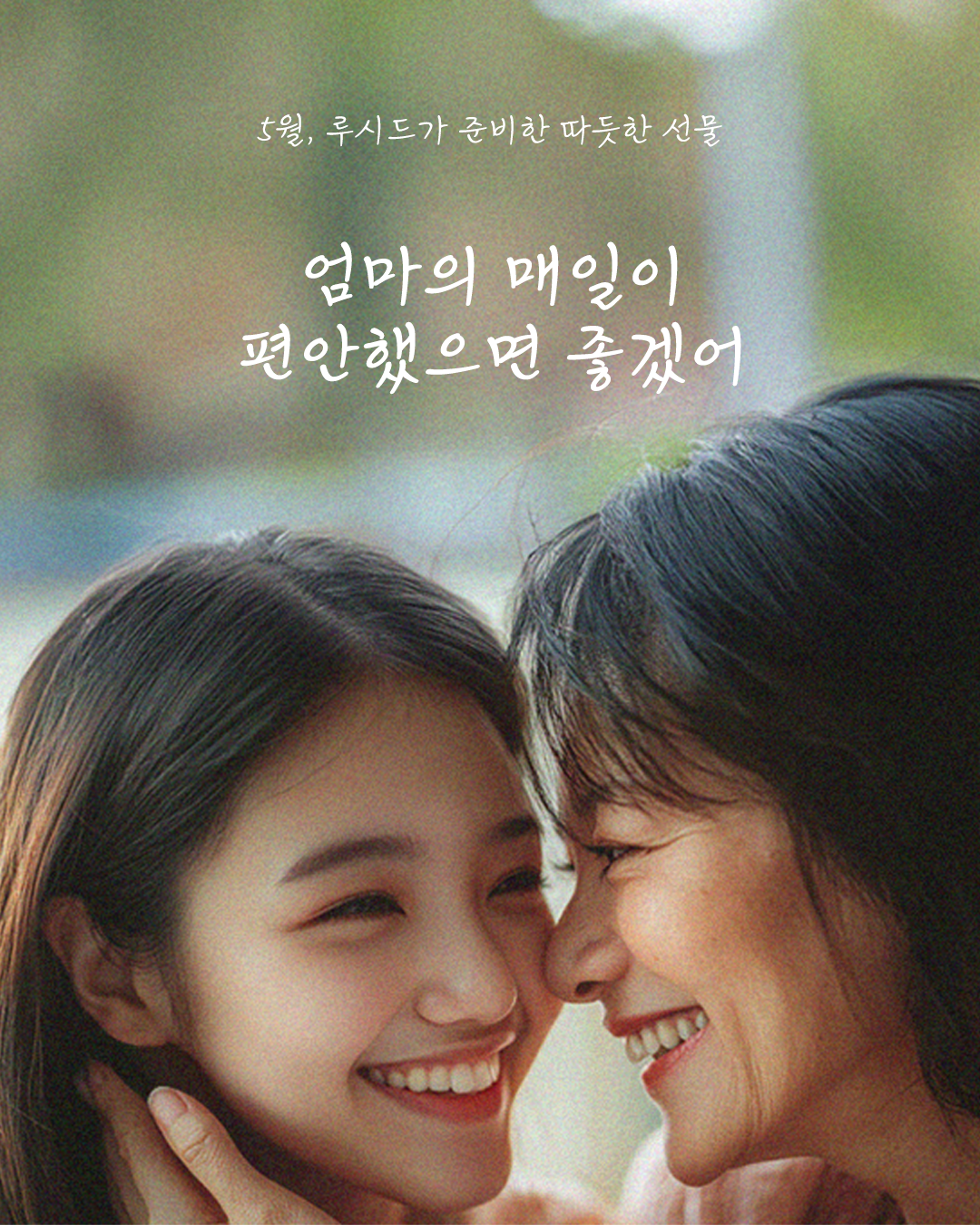 5월 promotion